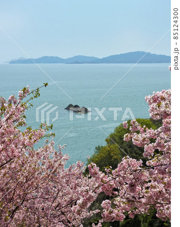桜の丘より望む三ツ山 85124300