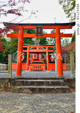 山蔭神社(京都市左京区 吉田神社) 山蔭神社(京都市左京区 吉田神社) 85124488