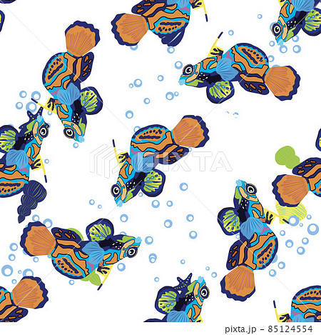 Mandarin fish seamless patterns. beautiful character among seashells, seaweed, starfish, sea animal wildlife character. Nature underwater, marine wild ocean zoo fish Mandarin fish seamless patterns. beautiful character among seashells, seaweed, starfish, sea animal wildlife character. Nature underwater, marine wild ocean zoo fish 85124554