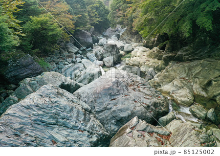 愛媛県西条市　加茂川上流の風景 85125002