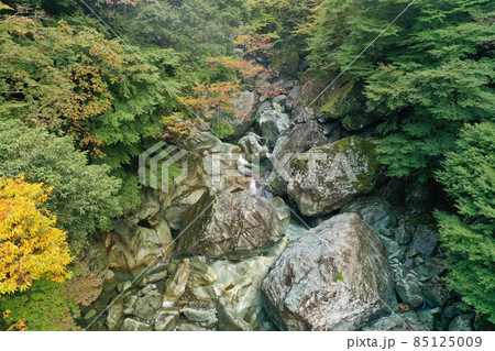 愛媛県西条市　加茂川上流の風景 85125009
