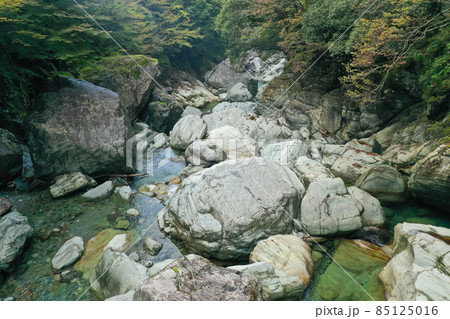 愛媛県西条市 加茂川上流の風景 愛媛県西条市 加茂川上流の風景 85125016