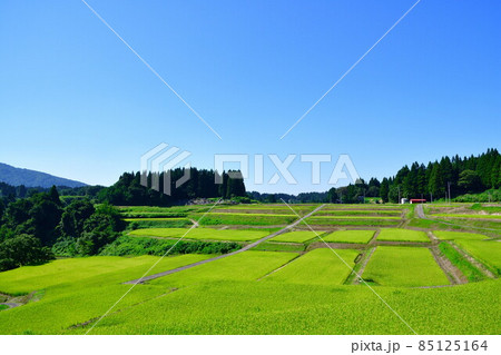 栃尾来伝の棚田(新潟県) 栃尾来伝の棚田(新潟県) 85125164