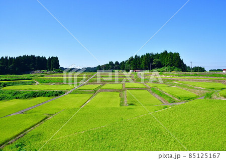 栃尾来伝の棚田(新潟県) 栃尾来伝の棚田(新潟県) 85125167