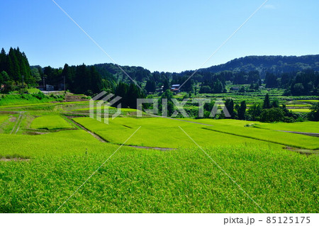 栃尾来伝の棚田(新潟県) 栃尾来伝の棚田(新潟県) 85125175