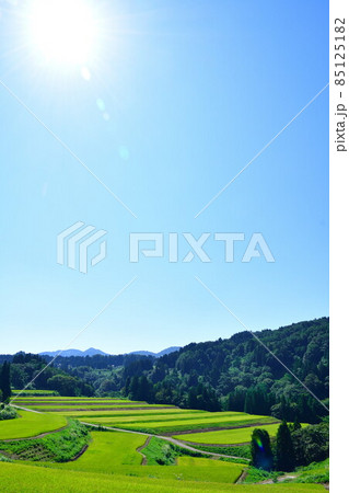 栃尾来伝の棚田(新潟県) 栃尾来伝の棚田(新潟県) 85125182