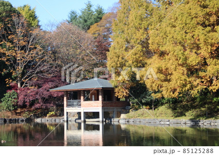 栃木県中央公園 85125288