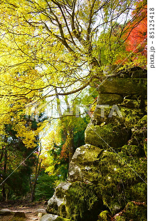 高取城跡の秋／紅葉（奈良県高市郡高取町） 85125418