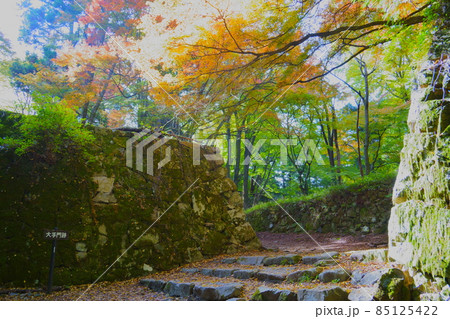 高取城跡の大手門跡と紅葉／奈良県高市郡高取町 85125422