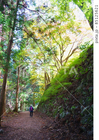 高取城跡の石垣（奈良県高市郡高取町） 85125621