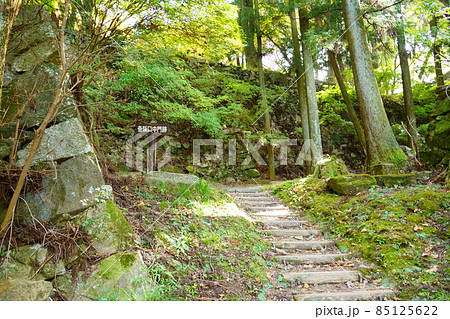 高取城跡の石垣/壺阪口中門跡(奈良県高市郡高取町) 高取城跡の石垣/壺阪口中門跡(奈良県高市郡高取町) 85125622