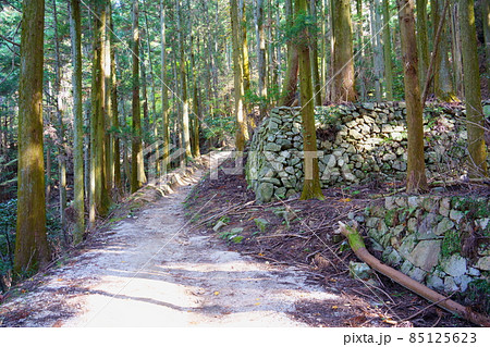 高取城跡の石垣（奈良県高市郡高取町） 85125623