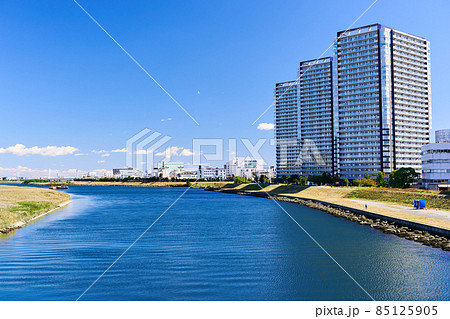 多摩川の河川敷 多摩川の河川敷 85125905