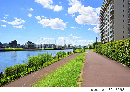 2021年、東京都　隅田川の風景 85125984