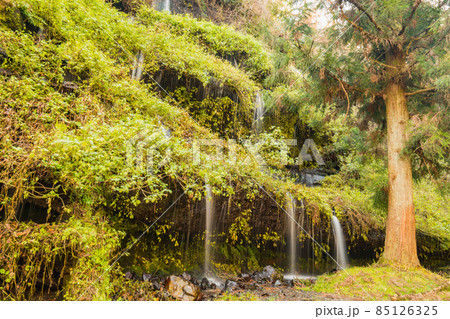 太郎・次郎滝の秋風景 太郎・次郎滝の秋風景 85126325