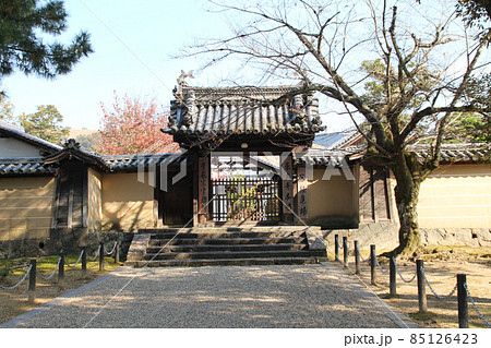 東大寺本坊 85126423