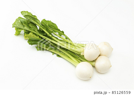 かぶ 白バック かぶ 白バック 85126559