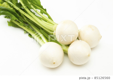 かぶ　白バック 85126560