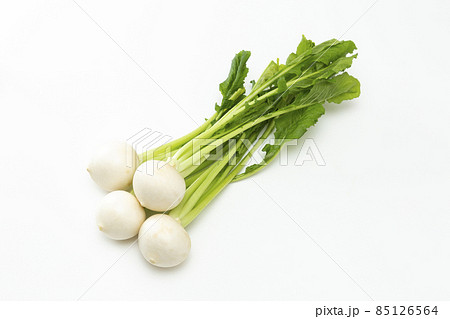 かぶ　白バック 85126564