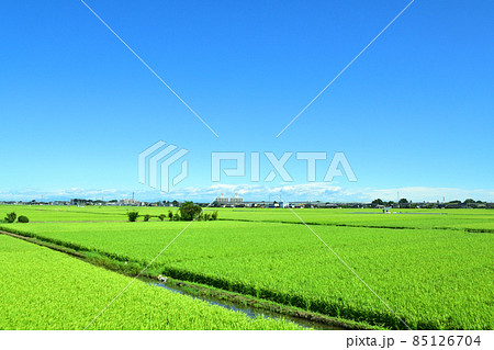南古谷駅から赤羽駅まで埼京川越線の車窓からの風景 85126704