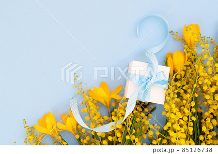 Mimosa flowers on blue background Mimosa flowers on blue background 85126738