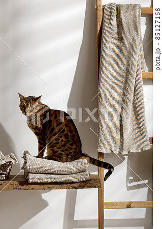 Bengal cat posing on organic linen towels in bathroom interior 85127168