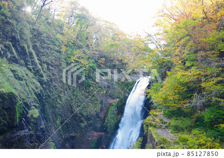秋の秋保大滝 85127850