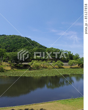 王子池(愛媛県西予市宇和町宇和運動公園) 王子池(愛媛県西予市宇和町宇和運動公園) 85127858