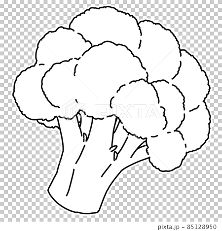 Vegetables Broccoli Line Drawing Stock Illustration