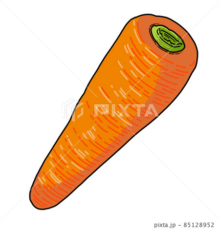 野菜_にんじん 野菜_にんじん 85128952