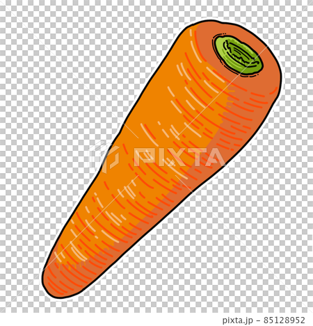 野菜_にんじん 野菜_にんじん 85128952