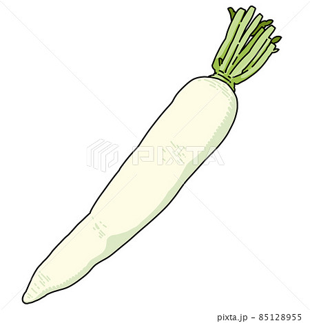 野菜_大根 野菜_大根 85128955