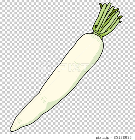 野菜_大根 野菜_大根 85128955
