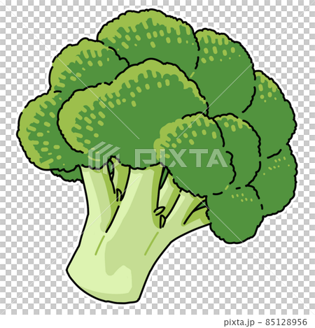 野菜 ブロッコリーのイラスト素材