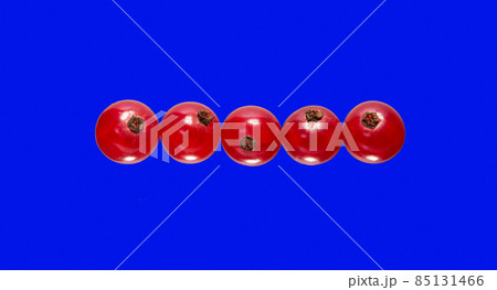 Red Currant berries. Red Currant berries. 85131466