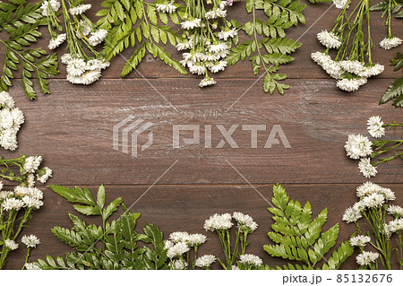 white flowers green leaves. High quality photo white flowers green leaves. High quality photo 85132676