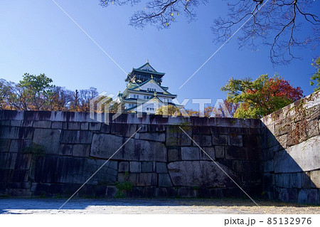 秋の大阪城公園 85132976