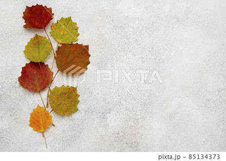 top view assortment autumn leaves. High quality photo top view assortment autumn leaves. High quality photo 85134373