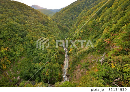 紅葉時期の城ヶ倉大橋 紅葉時期の城ヶ倉大橋 85134939