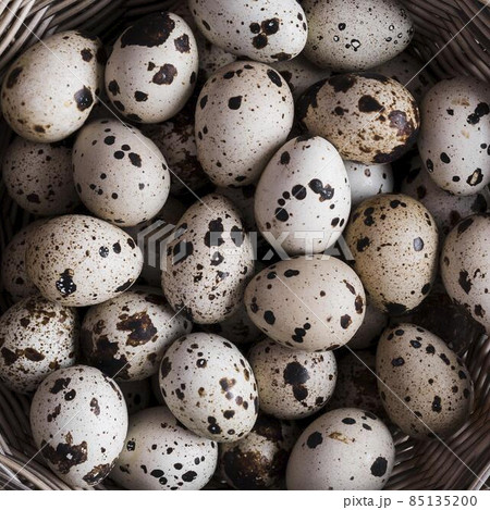 quail eggs close up. High quality photo 85135200