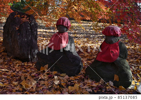 九品仏浄真寺の地蔵　東京都世田谷区 85137085