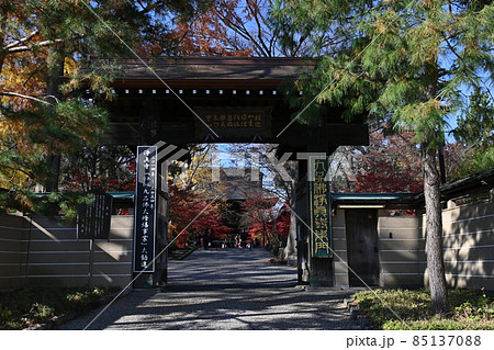 山門を望む東門　九品仏浄真寺　東京都世田谷区 85137088