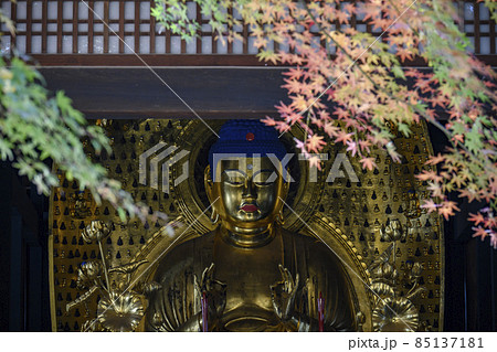 九品の阿弥陀如来　九品仏浄真寺　東京都世田谷区 85137181
