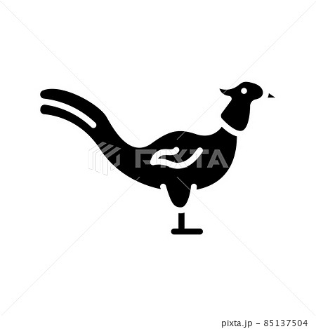 Common Pheasant Glyph Icon Animal Vector Common Pheasant Glyph Icon Animal Vector 85137504