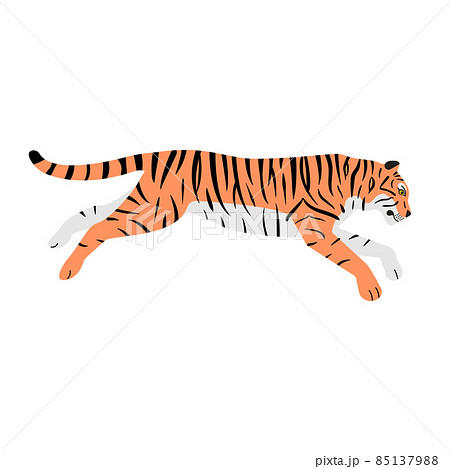 Vector flat hand drawn jumping tiger 85137988