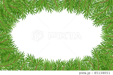 Christmas real coniferous fir tree pine background 85138051