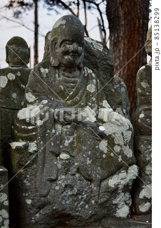 十二支の羊(ヒツジ)〜未（喜多院･五百羅漢／埼玉県川越市小仙波町） 85138299