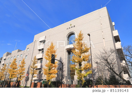 秋の目白通り 川村学園 秋の目白通り 川村学園 85139143