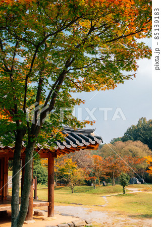 Korean traditional house and autumn forest at Juknokwon in Damyang, Korea Korean traditional house and autumn forest at Juknokwon in Damyang, Korea 85139183