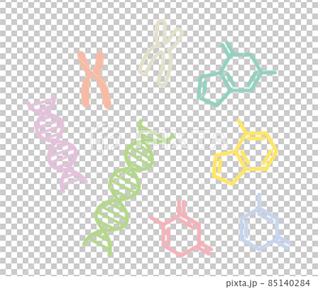 基因圖像 85140284